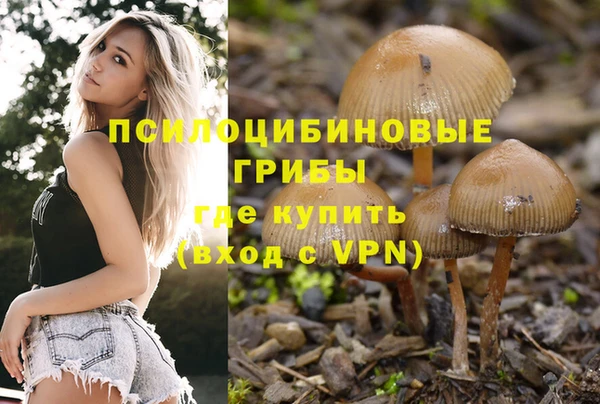 ALPHA-PVP Верея